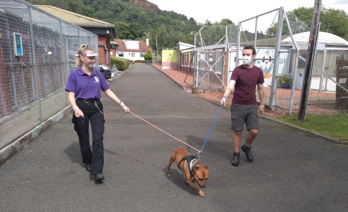 Two people wearing PPE walking a dog
